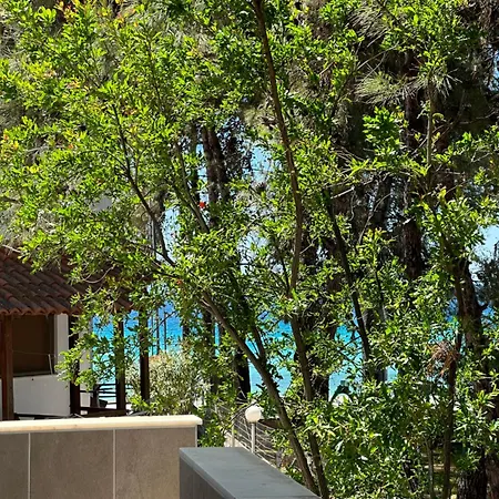 Sea And Sun Apartment Nikiti  Exterior photo